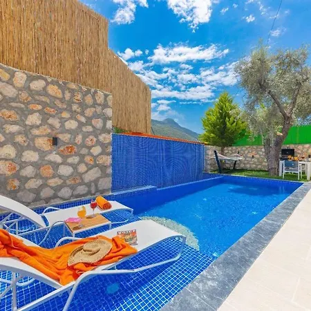 Montana Jakuzili Balayi Tatil Villasi Vila *